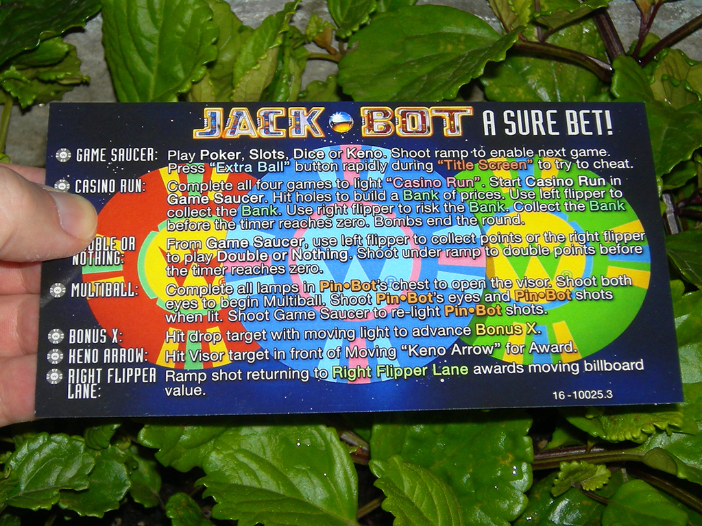 Jack-Bot-Custom-Pinball-Card-Rules-print1a