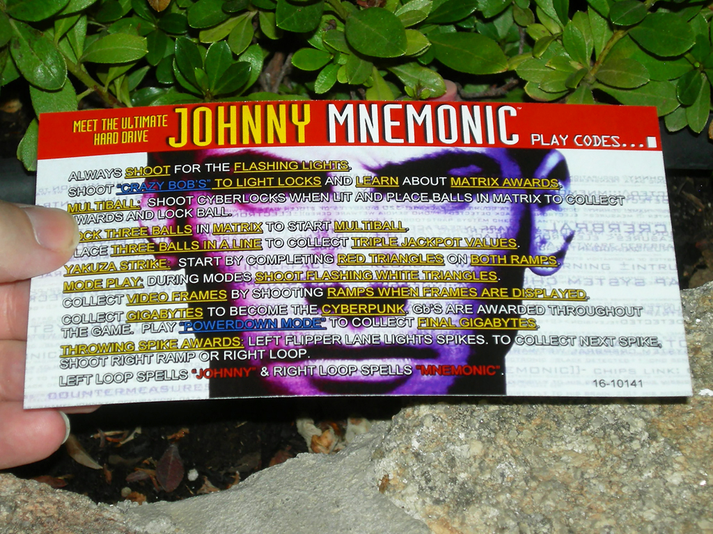 Johnny-Mnemonic-Custom-Pinball-Card-Rules-print1a