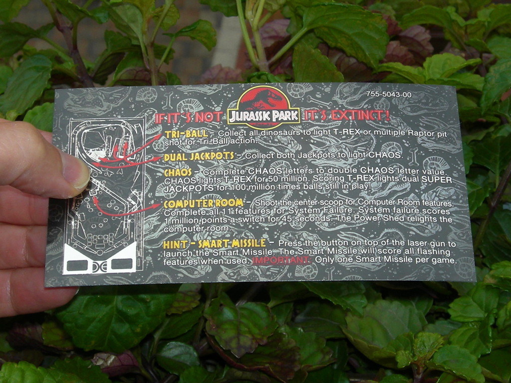 Jurassic Park Custom Pinball Card Rules2 print1
