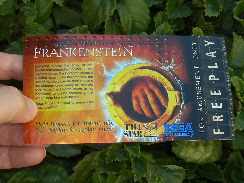 Mary Shelleys Frankestein Pinball Card Customized Free Play print1c