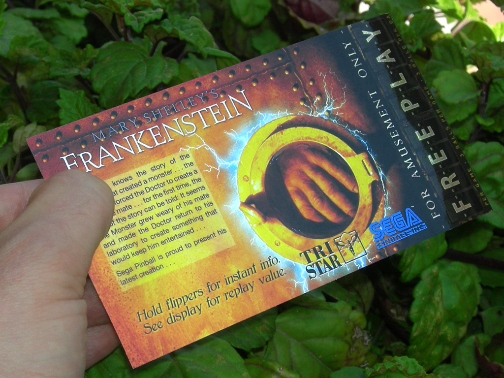 Mary Shelleys Frankestein Pinball Card Customized Free Play print2