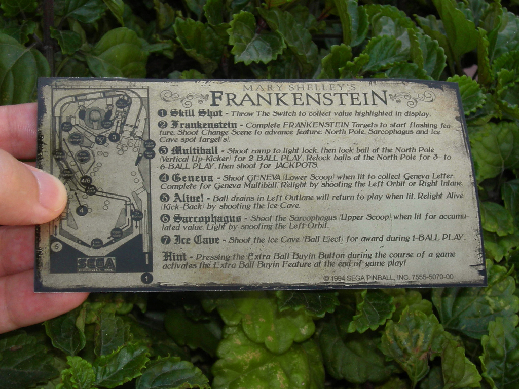 Mary Shelleys Frankestein Pinball Card Customized Rules print1c