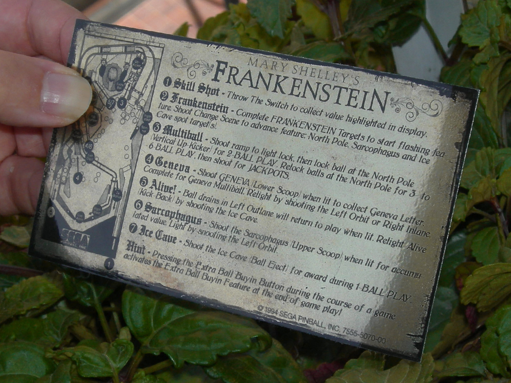 Mary Shelleys Frankestein Pinball Card Customized Rules print2