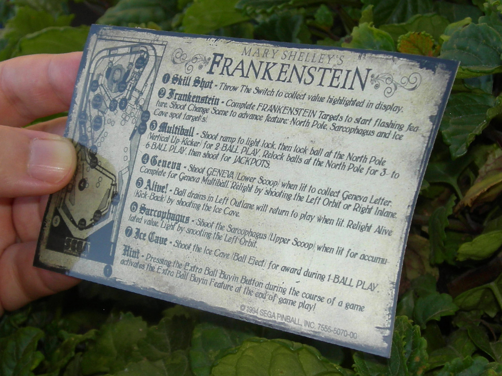 Mary Shelleys Frankestein Pinball Card Customized Rules print2c