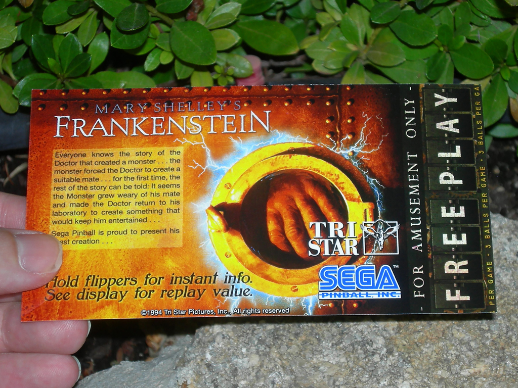 Mary-Shelleys-Frankenstein-Custom-Pinball-Card-Free-Play-print1a