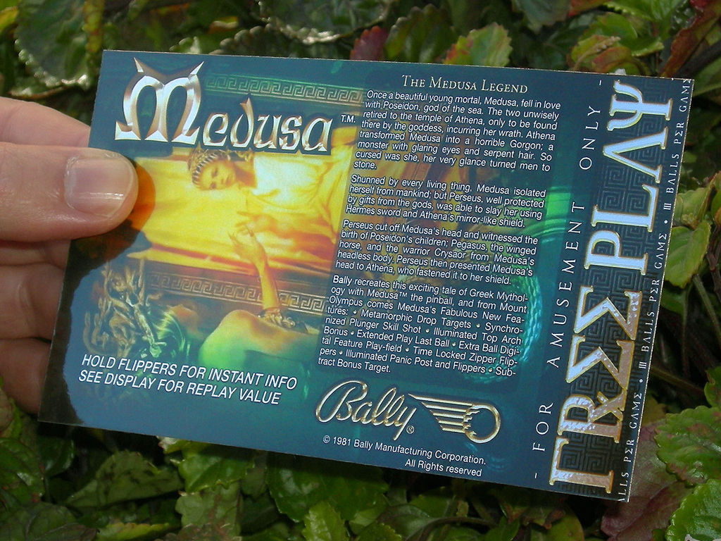 Medusa Custom Pinball Card Free Play print2