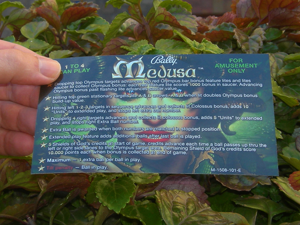 Medusa Custom Pinball Card Rules print1