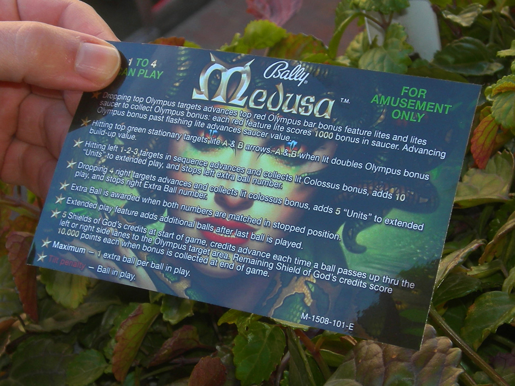 Medusa Custom Pinball Card Rules print2