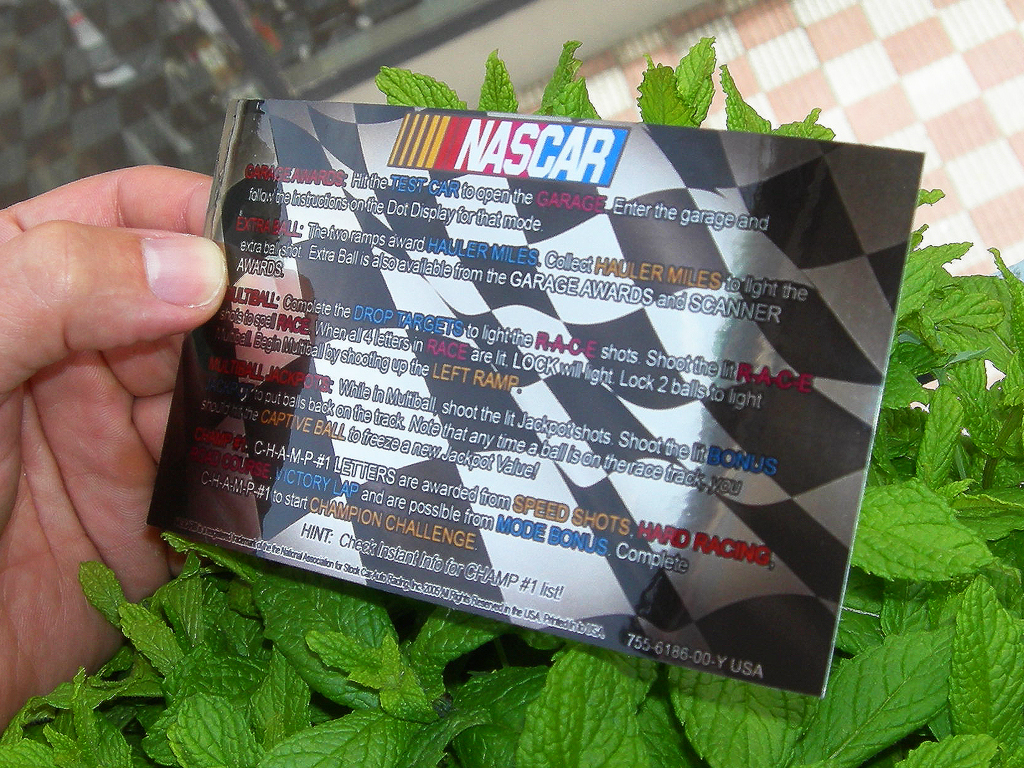 NASCAR Custom Pinball Cards - Rules print2