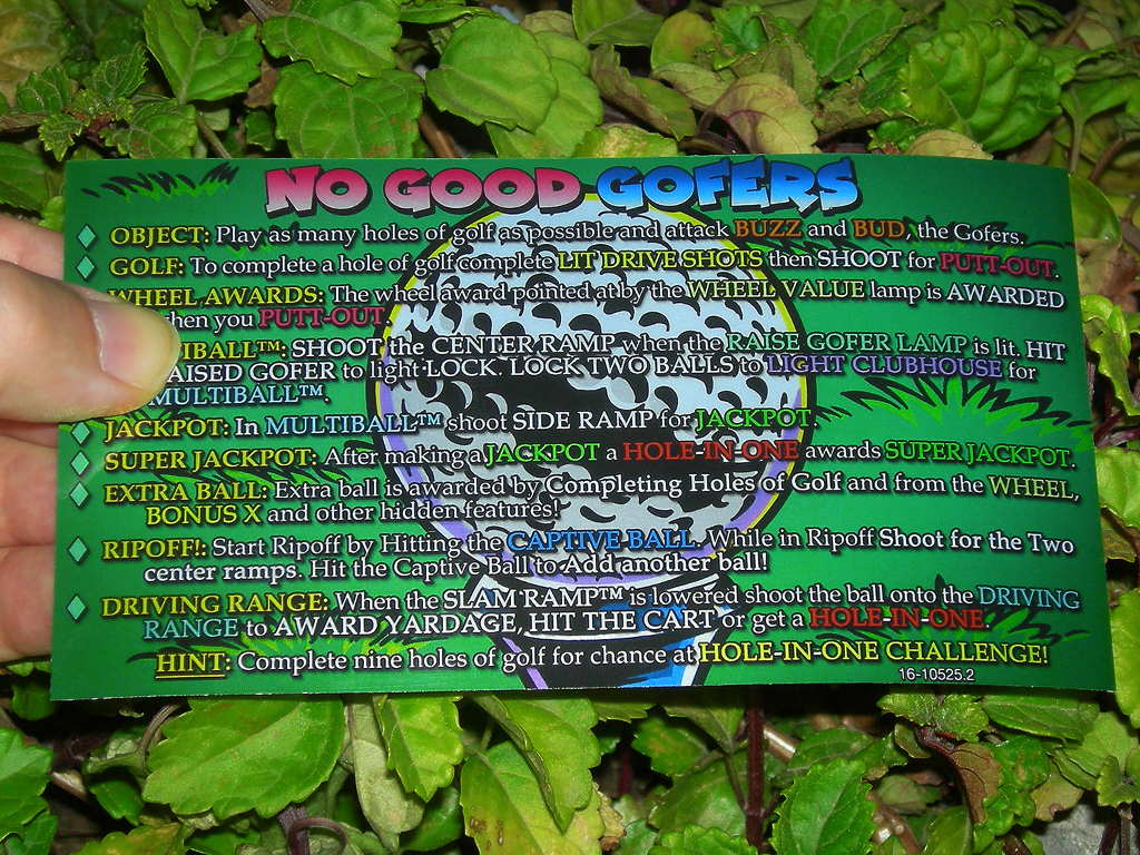 No Good Gofers Pinball Card Customized Rules print1c