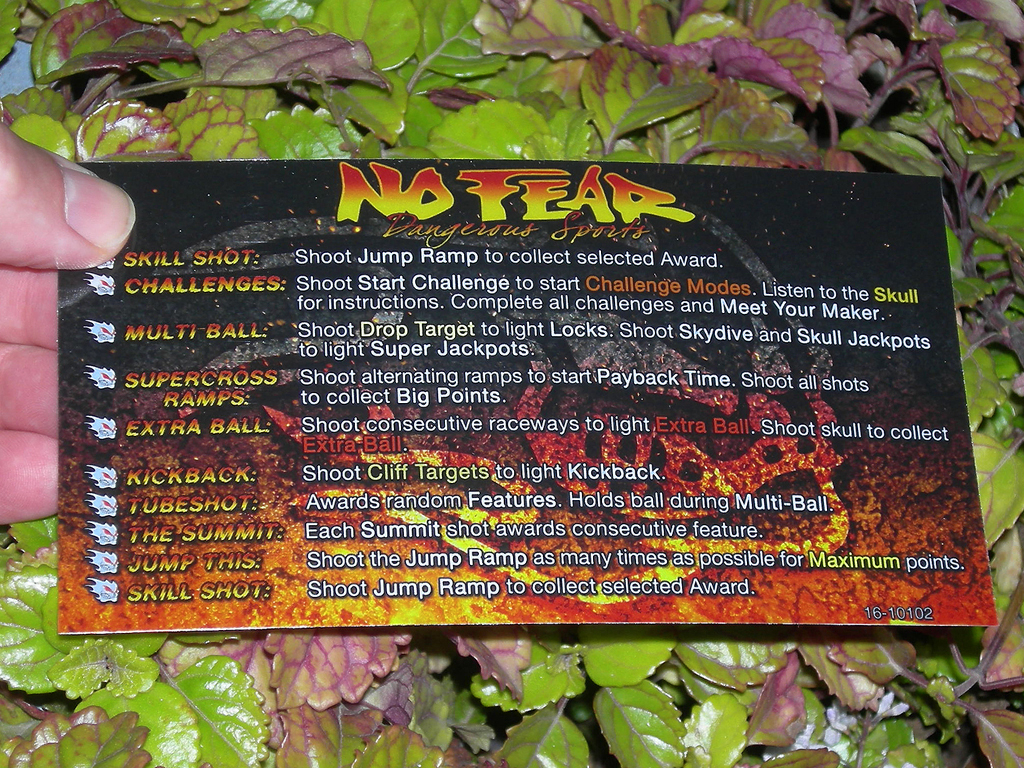 No-Fear-Custom-Pinball-Card-Rules2-print1c