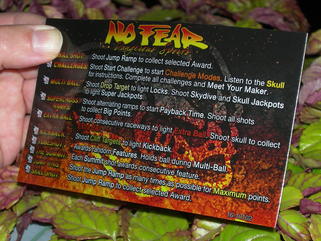 No-Fear-Custom-Pinball-Card-Rules2-print2c