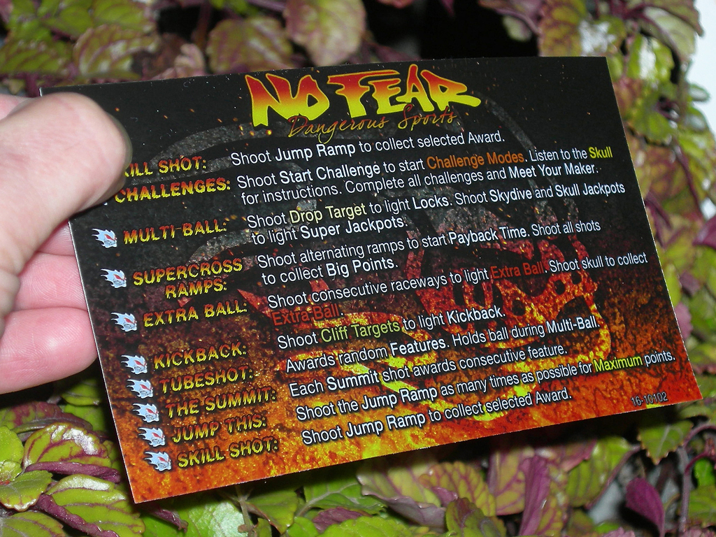 No-Fear-Custom-Pinball-Card-Rules2-print3c
