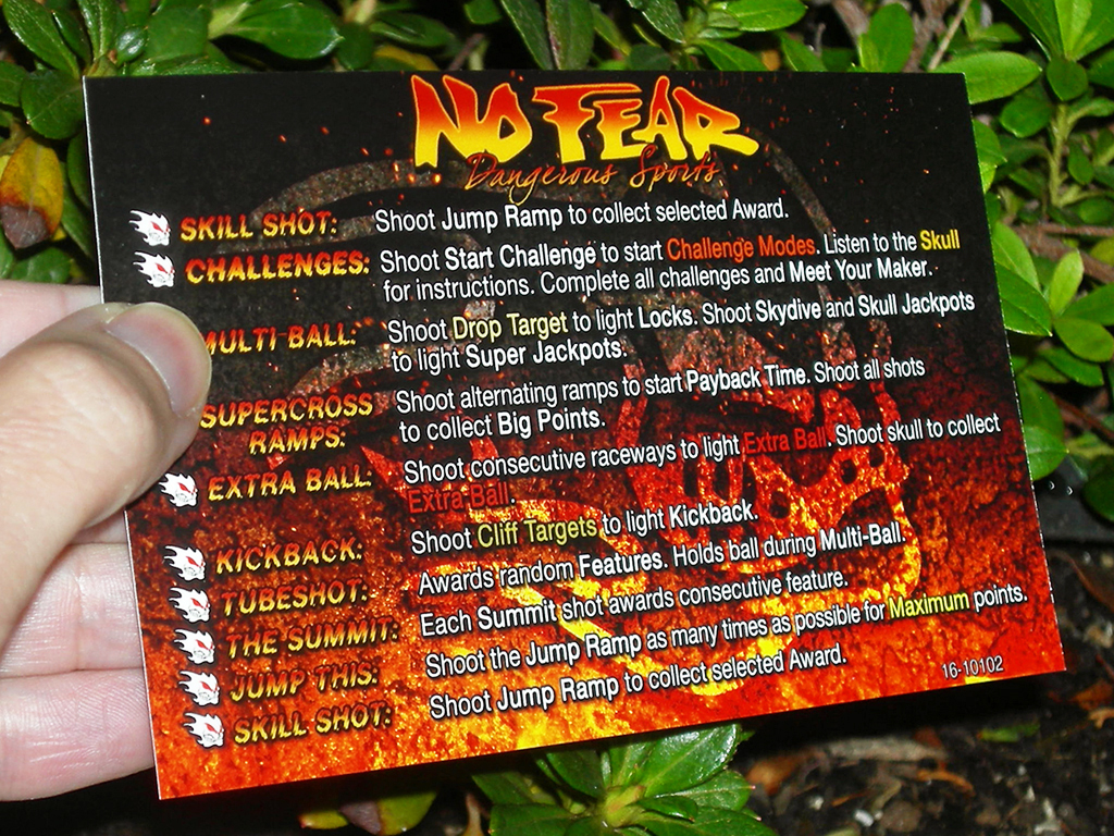 No-Fear-Dangerous-Sports-Custom-Pinball-Card-Rules-print3a