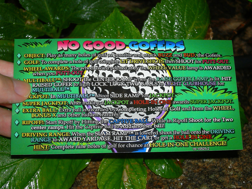 No-Good-Gofers-Custom-Pinball-Card-Rules2-print1a