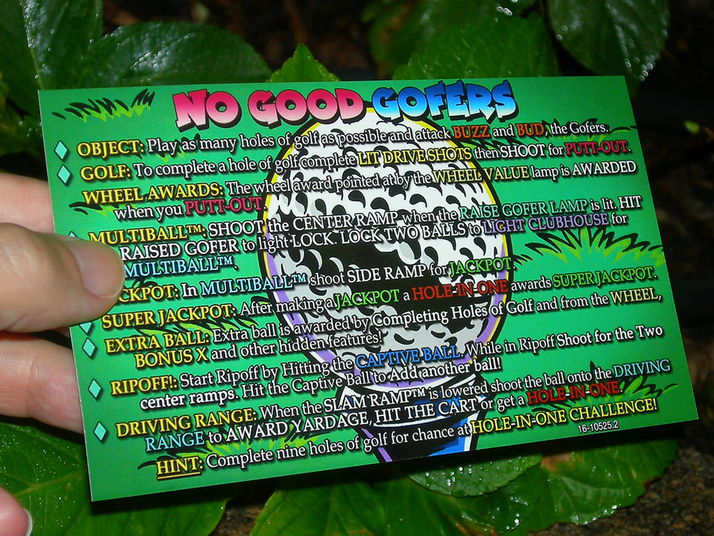 No-Good-Gofers-Custom-Pinball-Card-Rules2-print3a