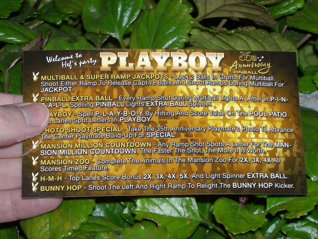 Playboy-35th-Anniversary-Custom-Pinball-Card-Rules-print1a