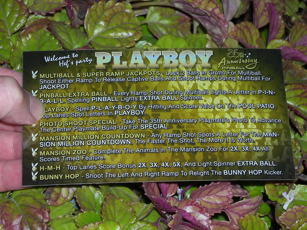 Playboy 35th Anniversary Custom Pinball Card Rules print1c