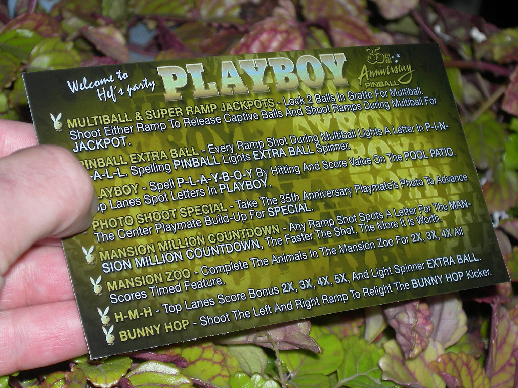 Playboy 35th Anniversary Custom Pinball Card Rules print3c