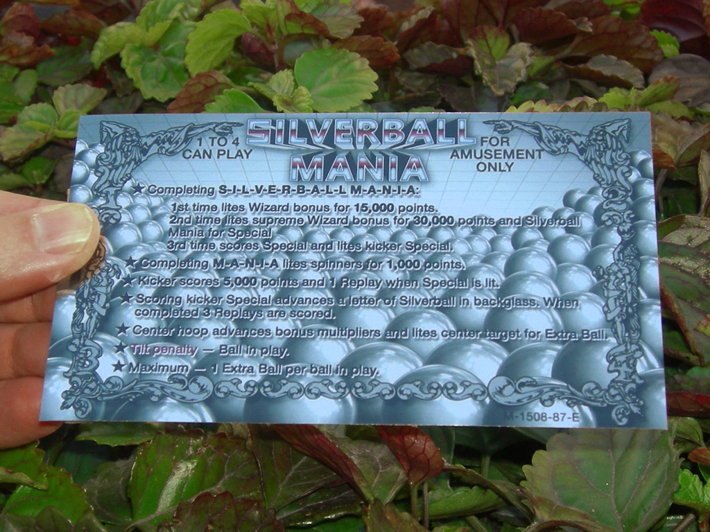 Silverball Mania Custom Pinball Card Rules print1