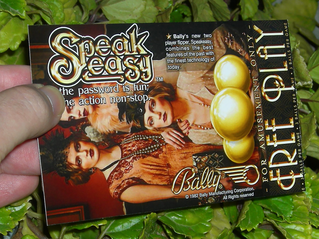 Speak-Easy-Custom-Pinball-Card-Free-Play2-print3a