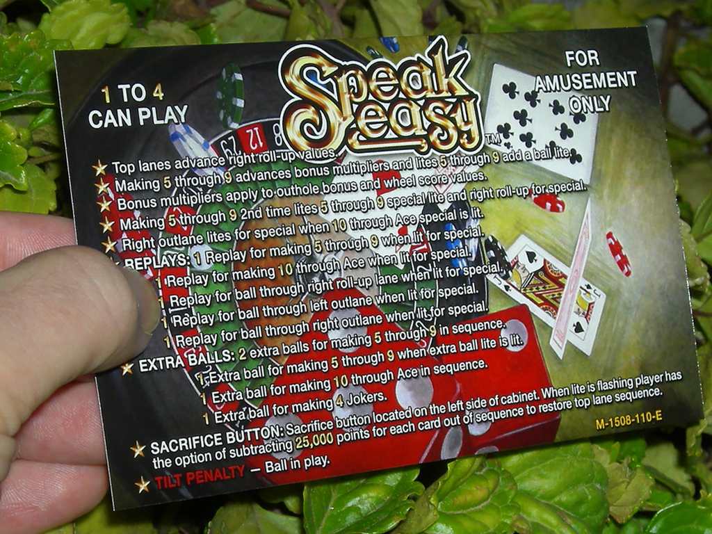 Speak-Easy-Custom-Pinball-Card-Rules-print3a
