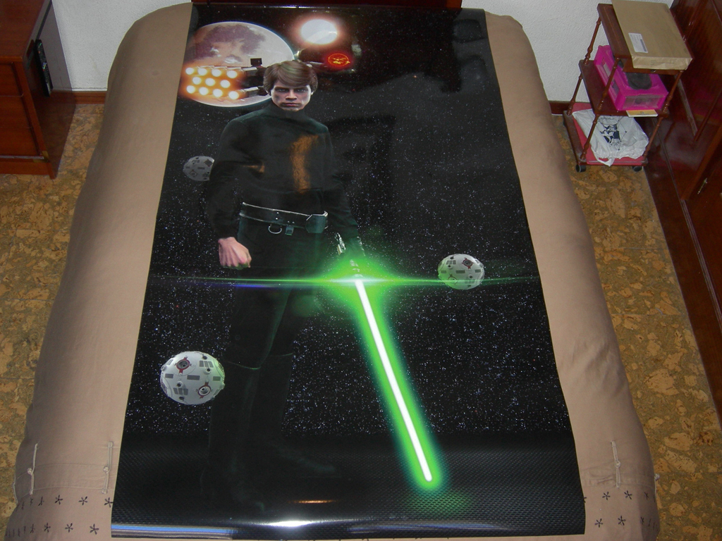 Star%20Wars%20Saga%2014%20Side%20Art2%20muscaif%20print1.JPG