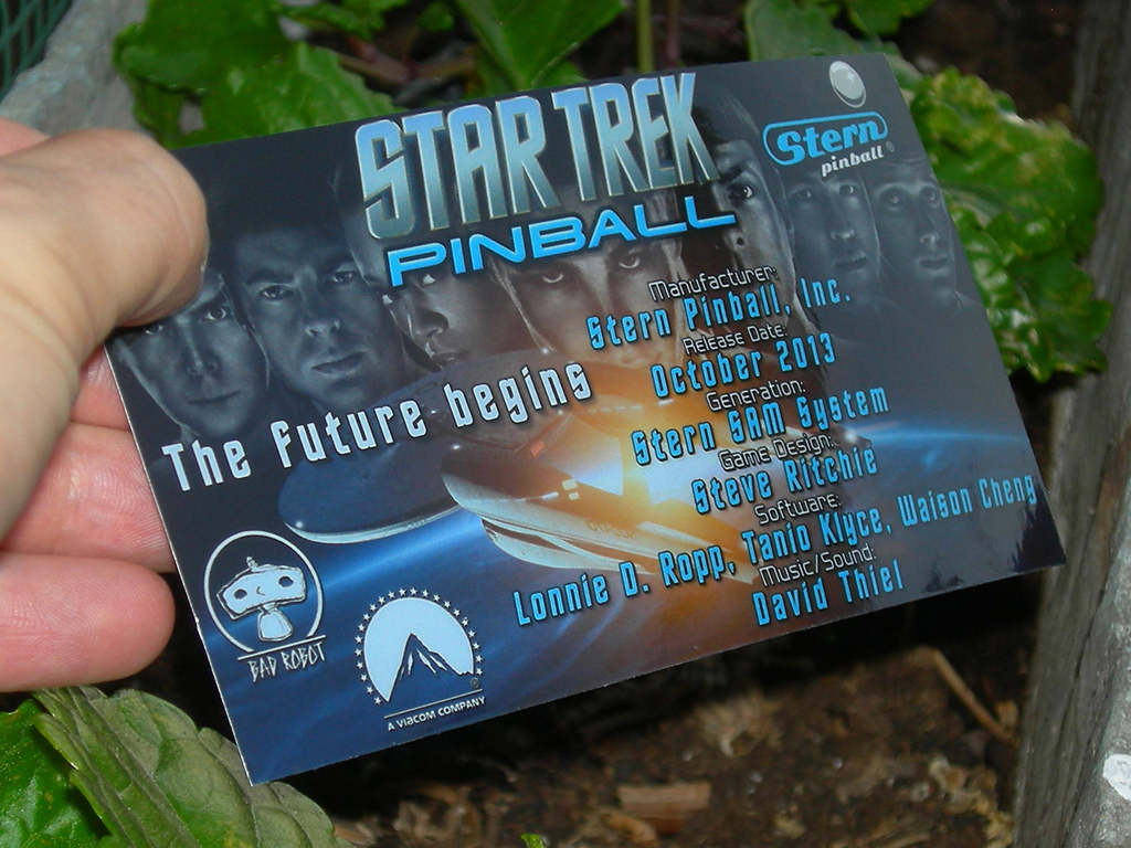 Star-Trek-Pinball-Card-Customized-Crew-print3c