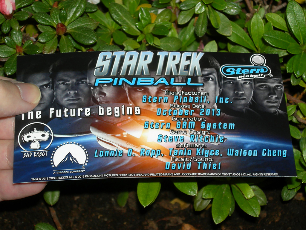 Star-Trek-Stern-Custom-Pinball-Card-Crew2-print1a