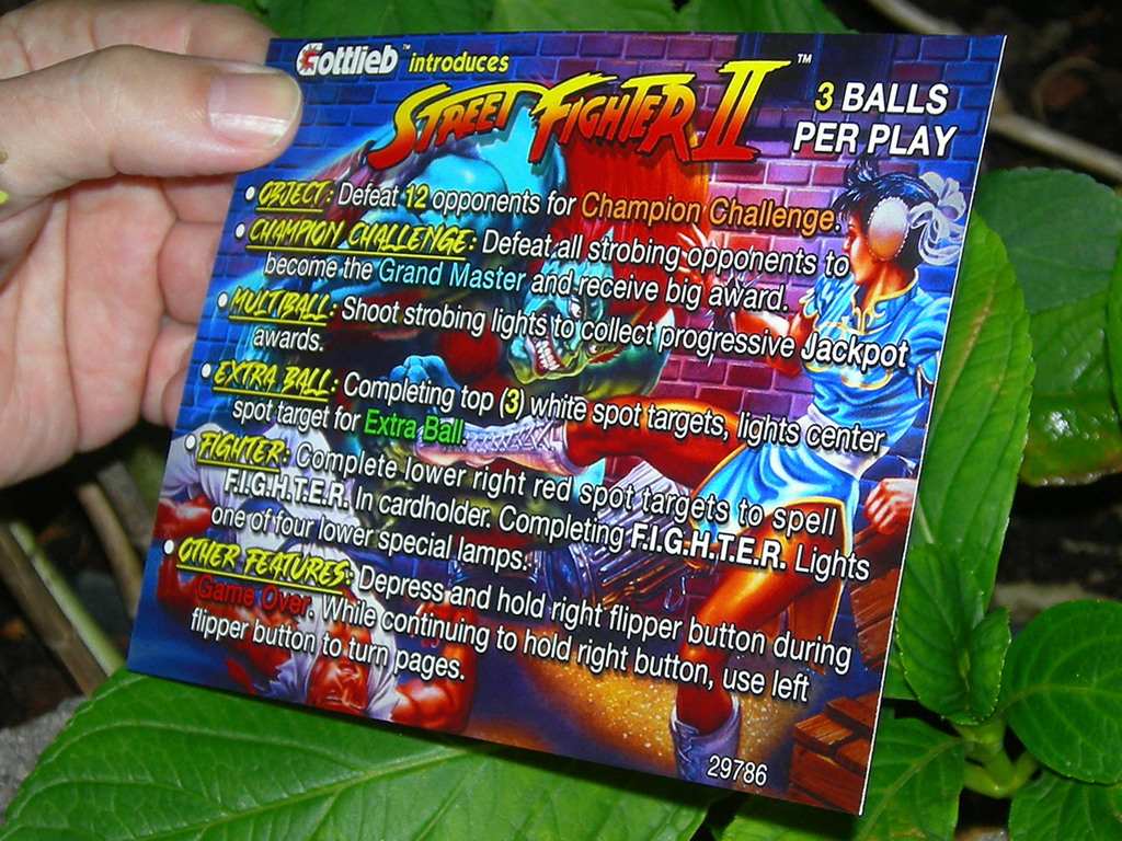 Street-Fighter-II-Custom-Pinball-Card-Rules-print2a