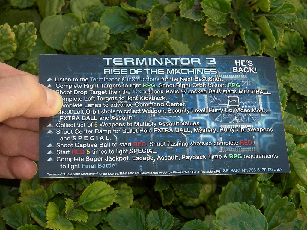 Terminator 3 Custom Pinball Card Rules print1c