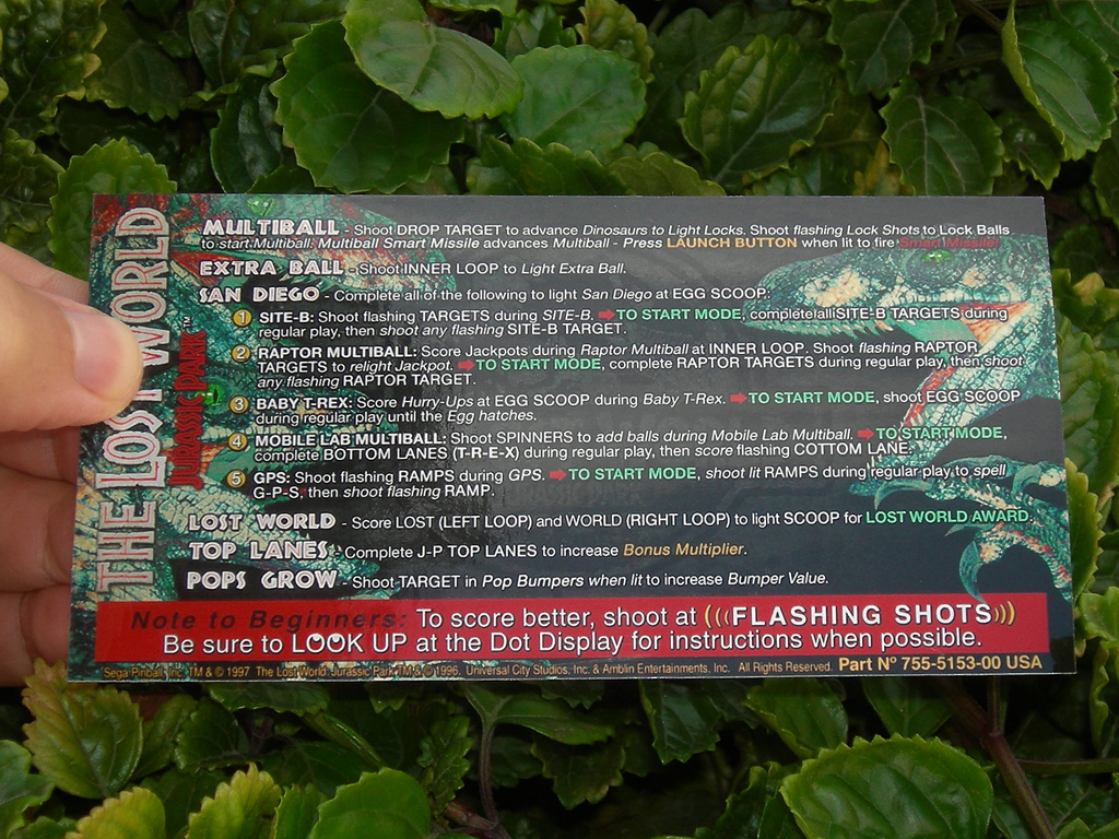 The Lost World Custom Pinball Card Rules print1c