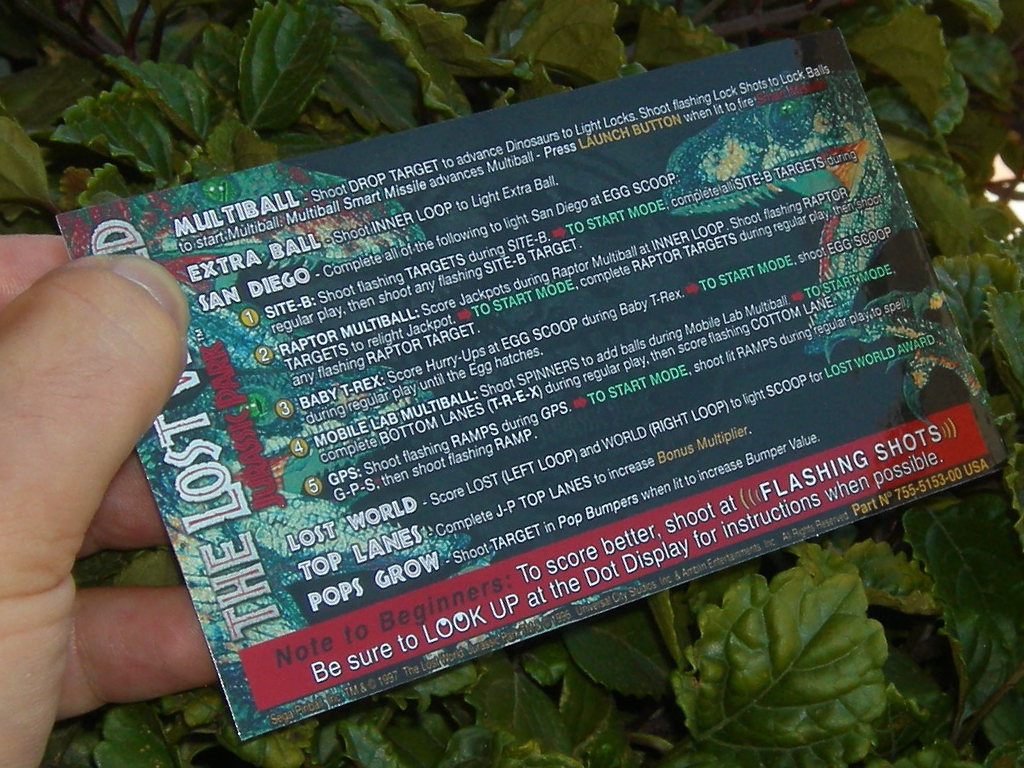 The Lost World Custom Pinball Card Rules print2