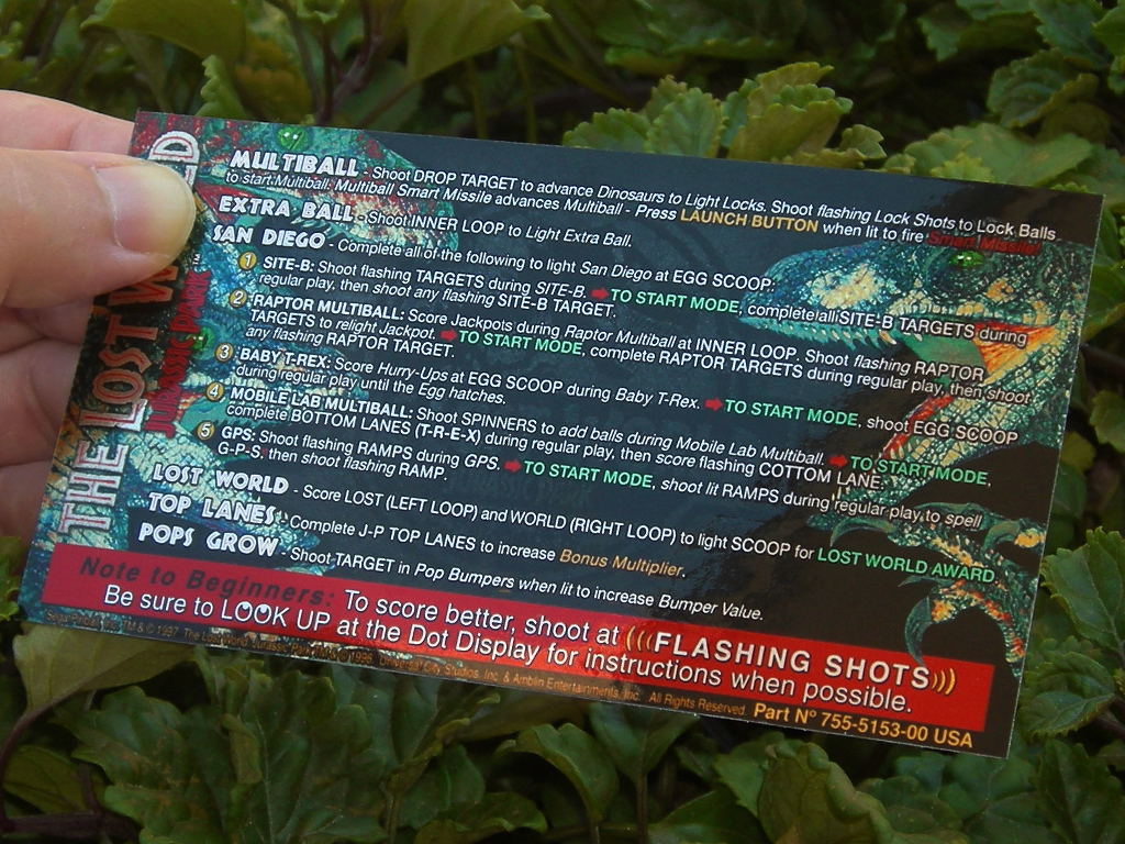 The Lost World Custom Pinball Card Rules print3