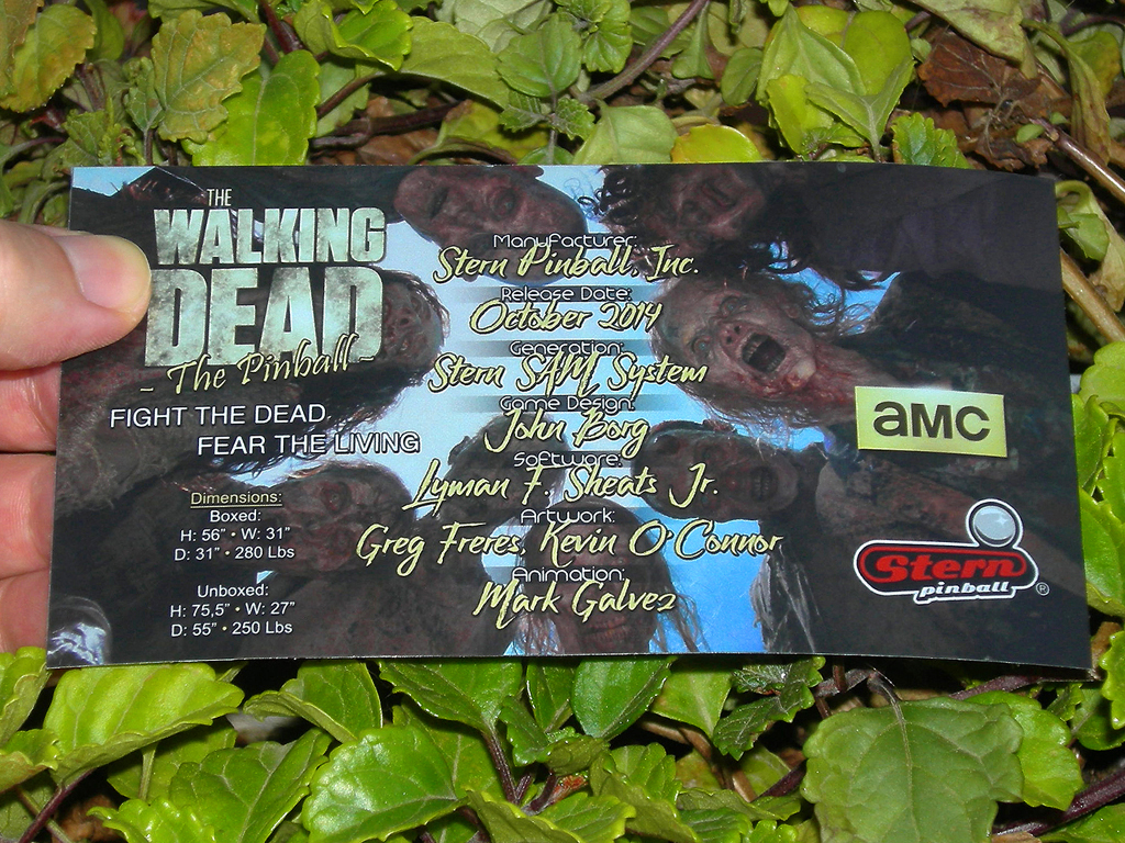 The Walking Dead Custom Pinball Card Crew print1c