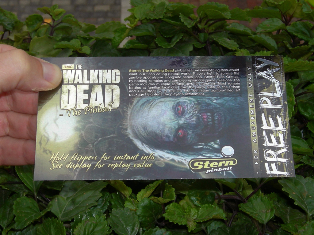 The Walking Dead Custom Pinball Card Free Play print1