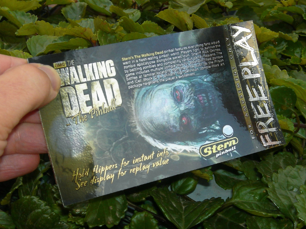 The Walking Dead Custom Pinball Card Free Play print1