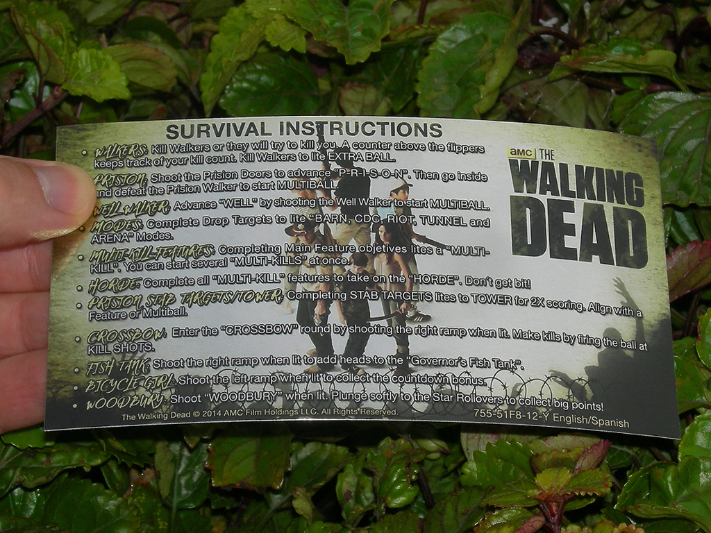 The Walking Dead Custom Pinball Card Rules print1