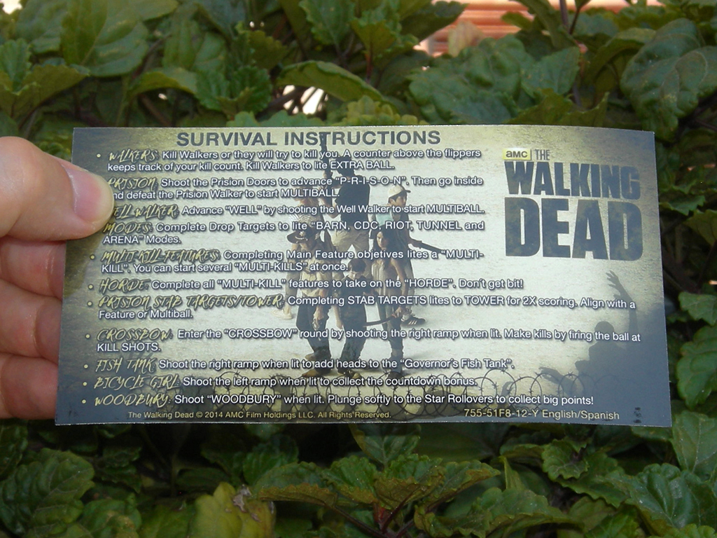 The Walking Dead Custom Pinball Card Rules print1c