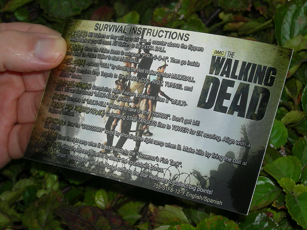 The Walking Dead Custom Pinball Card Rules print2