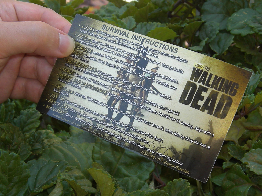 The Walking Dead Custom Pinball Card Rules print2c