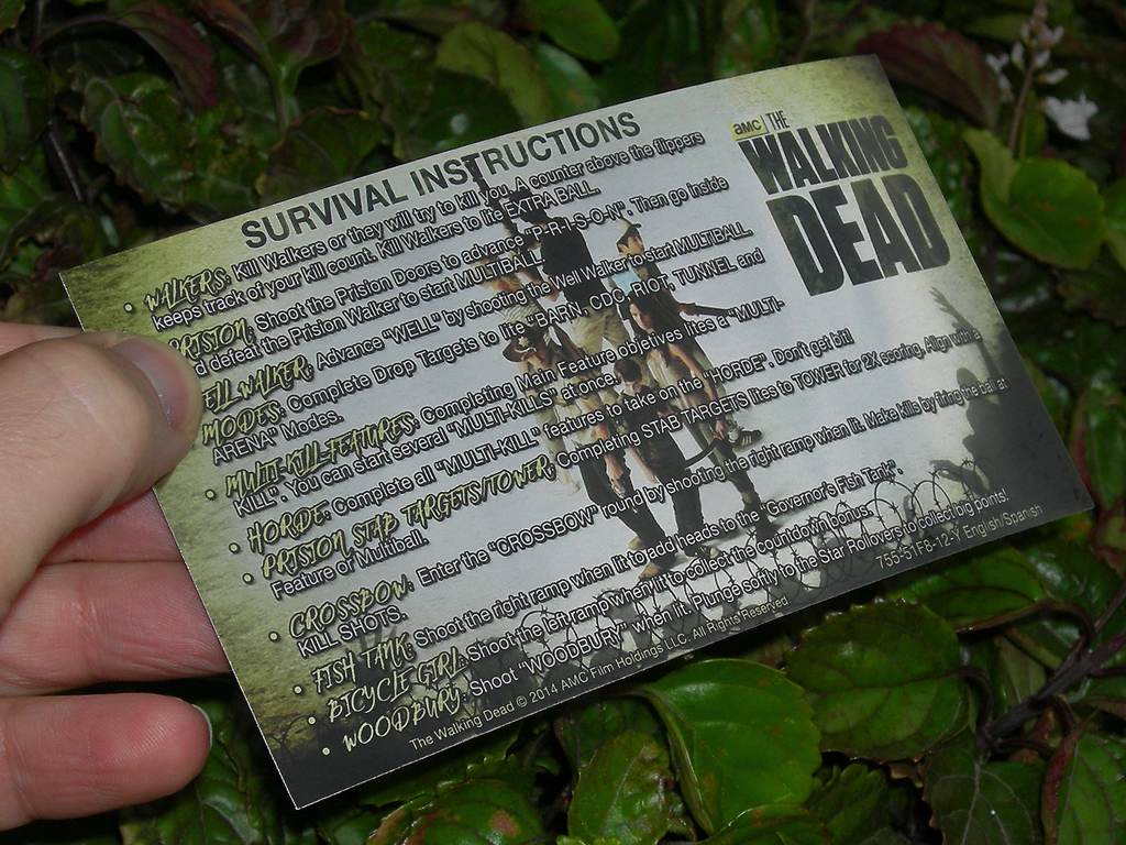 The Walking Dead Custom Pinball Card Rules print3