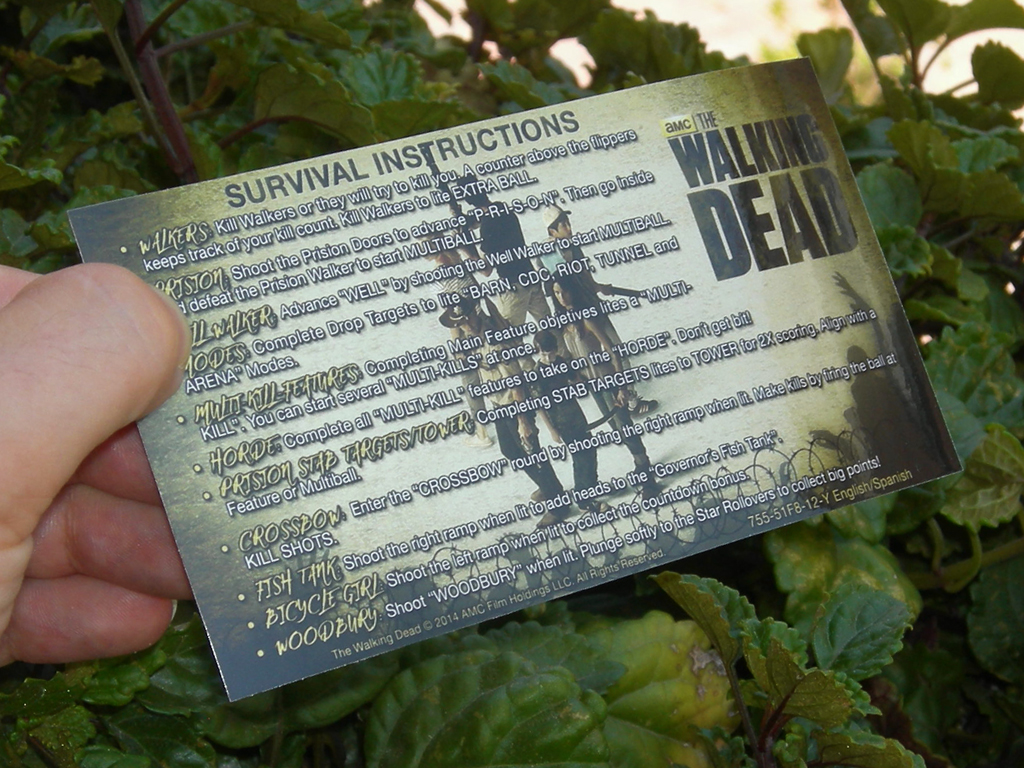 The Walking Dead Custom Pinball Card Rules print3c