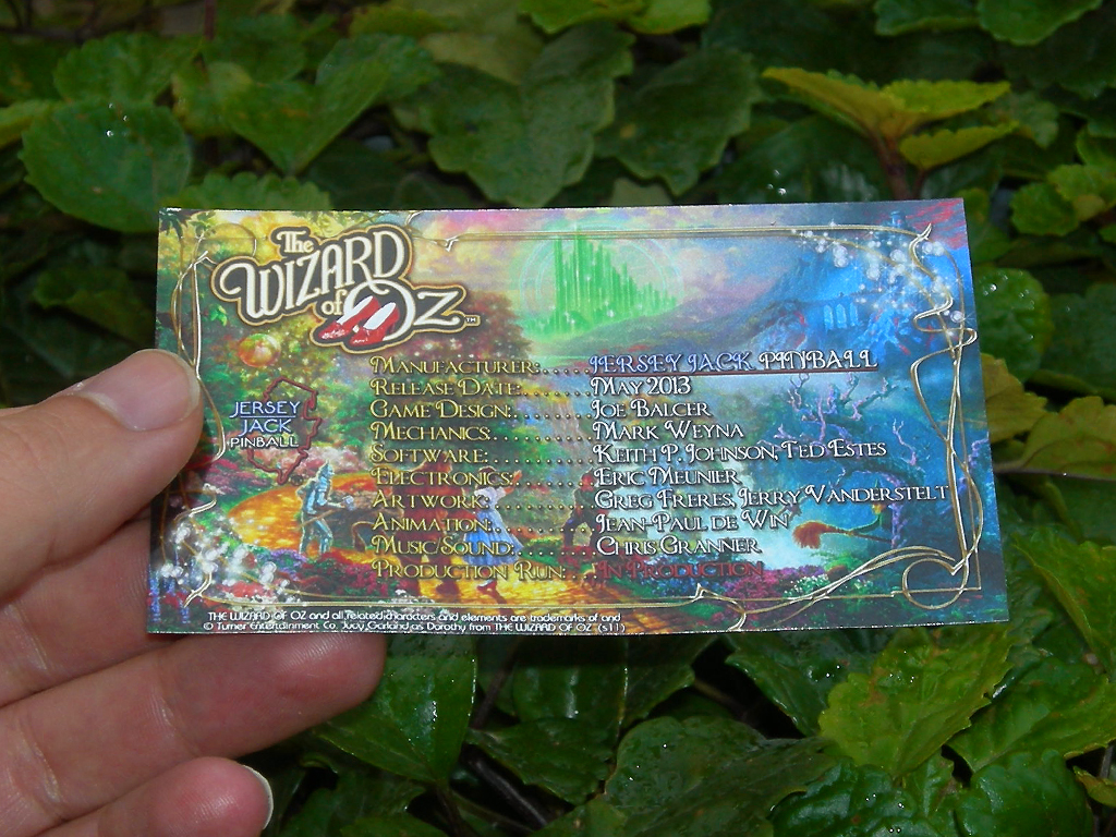 The Wizard of Oz Custom Pinball Card Crew print1
