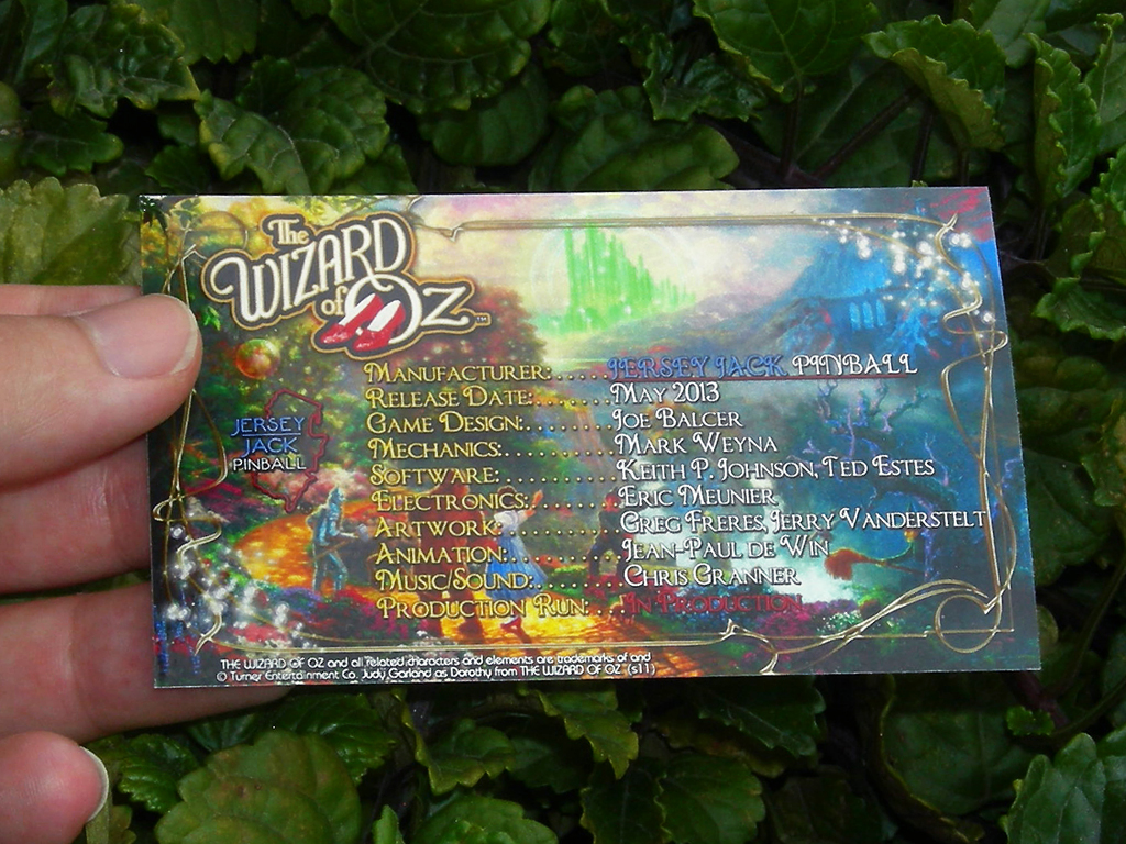 The Wizard of Oz Custom Pinball Card Crew print1c