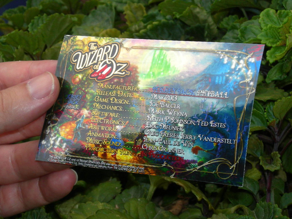 The Wizard of Oz Custom Pinball Card Crew print2c