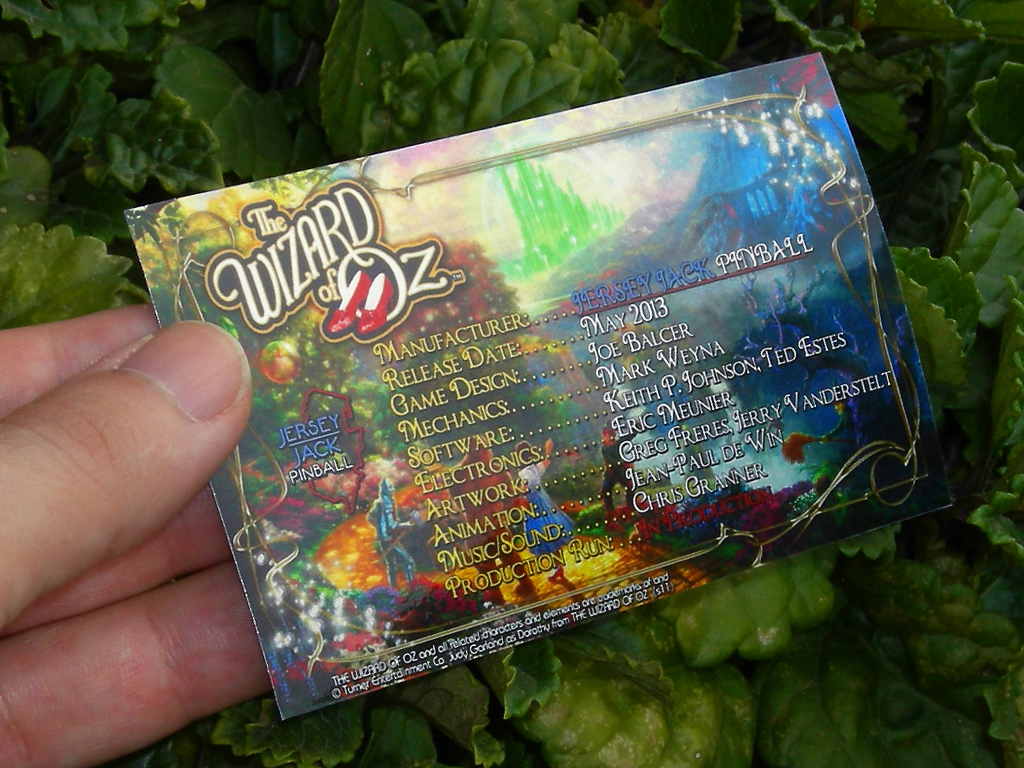The Wizard of Oz Custom Pinball Card Crew print3c