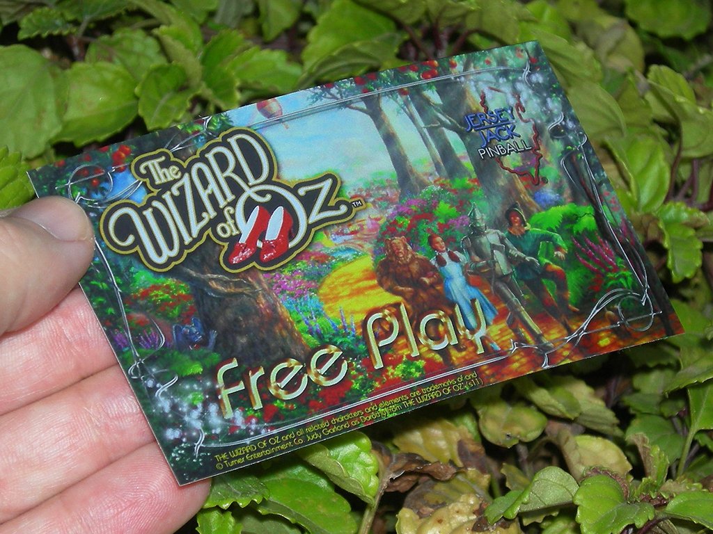 The Wizard of Oz Custom Pinball Card Rules print3c