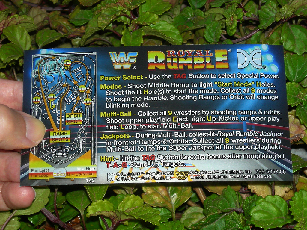 WF Royal Rumble Pinball Card Customized Rules print1c
