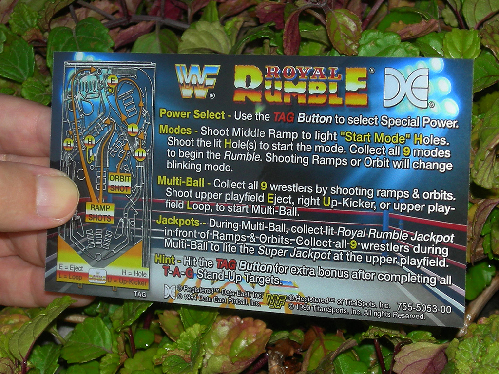 WF Royal Rumble Pinball Card Customized Rules print2c